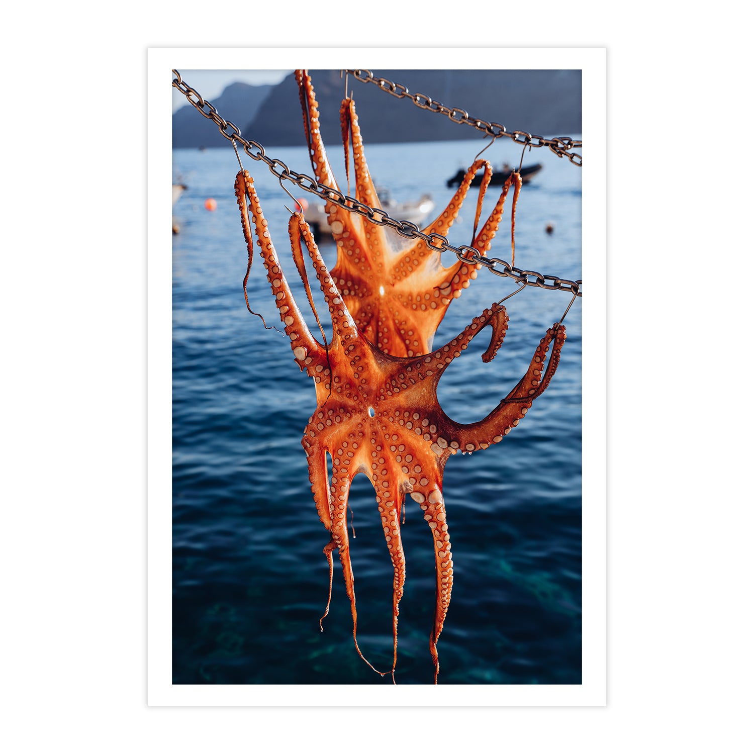 Santorini No.19
